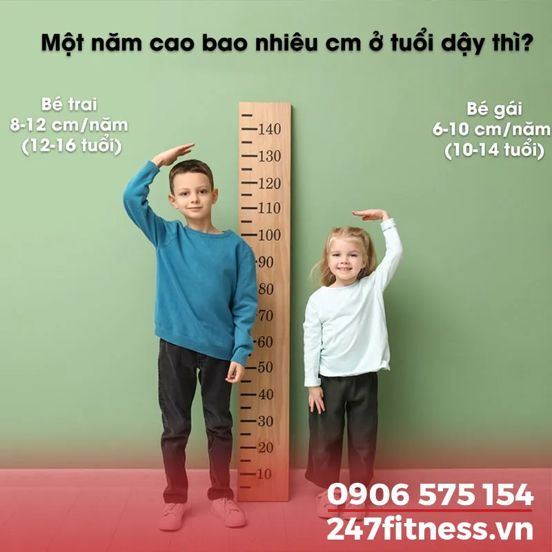 Một năm cao bao nhiêu cm ở tuổi dậy thì?