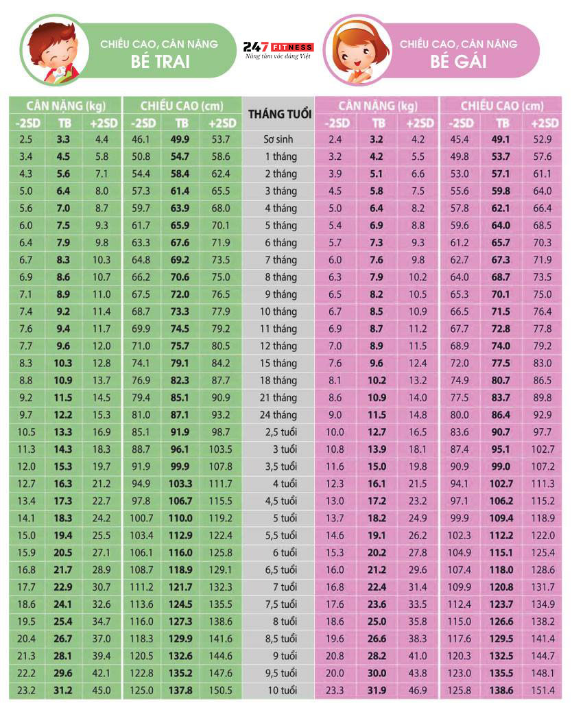 Bảng chiều cao, cân nặng chuẩn của trẻ